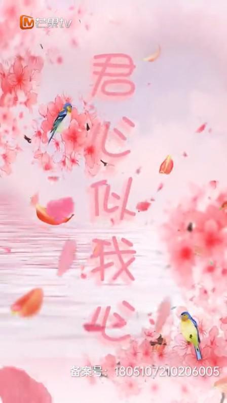 君心似我心 第04集