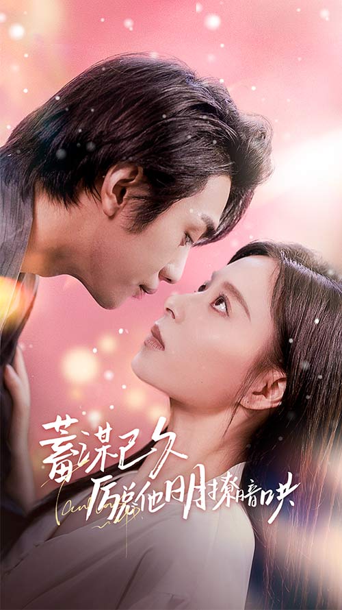 蓄谋已久历总他明撩暗哄 全集(大结局)