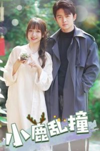 小鹿乱撞(全集)