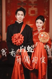 我和白蛇有个约定 全集(大结局)