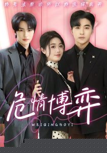 危情博弈(全集)