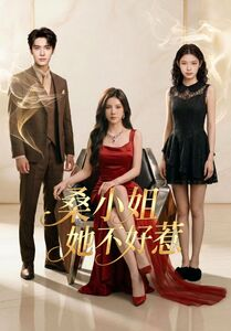 桑小姐她不好惹(全集)