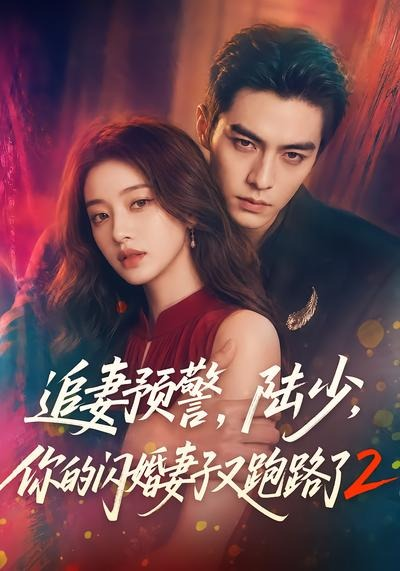 追妻预警，陆少，你的闪婚妻子又跑路了2(全集)
