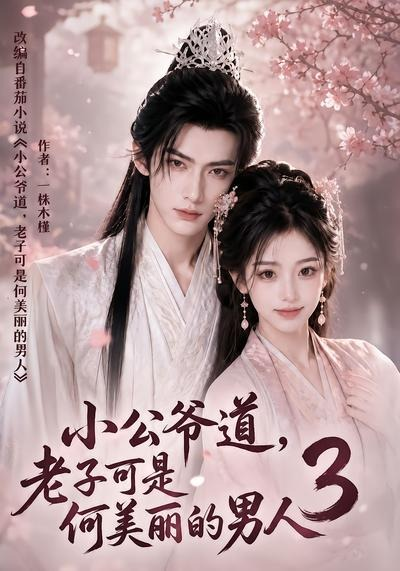 小公爷道，老子可是何美丽的男人3(全集)