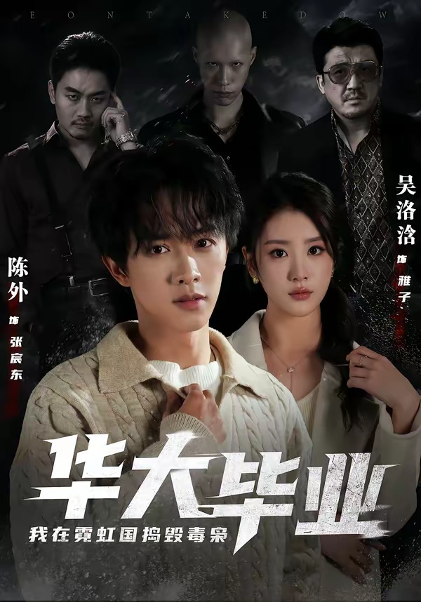华大毕业，我在霓虹国捣毁毒枭(全集)
